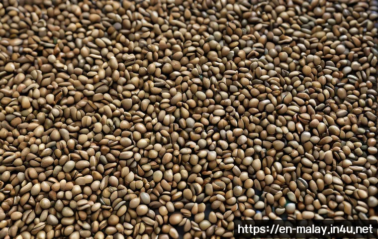 Malaysia Coffee Culture Guide: Kopitiams, Specialty Cafés, and How to Choose Where to Go 4 말레이시아의 커피 문화와 카페 추천 관련 이미지 2
